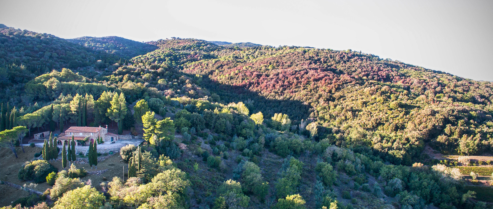 Montepeloso Estate